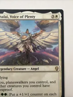 Shalai, Voice of Plenty The List Reprints Regular - Image 3