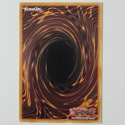 Armaill - LOB-079 - NM - Common - Unlimited - Yugioh - 2010 Reprint - Image 2