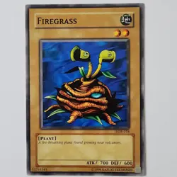 Firegrass - LOB-018 - NM - Common - Unlimited - Yugioh - 2010 Reprint - Image 1