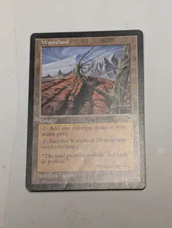 Magic the Gathering Wasteland Tempest LP - Image 1