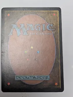Magic the Gathering Wasteland Tempest LP - Image 3