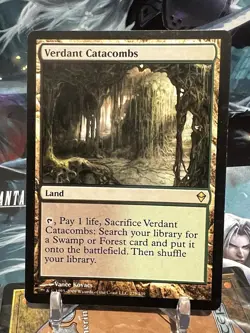 MTG | Verdant Catacombs [Zendikar] NF LP - Image 1