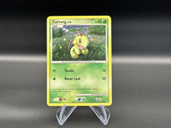 Turtwig - Holo - DP01 Black Star Promo - Pokemon TCG - 2007 - Image 1