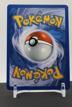 Minccino - (Cracked Ice Holo) BW13 Holo - Pokemon Black and White Promos - Image 2