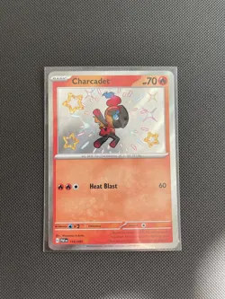 Charcadet 114/091 Paldean Fates Shiny Holo Rare Pokemon TCG Card NM/M Condition - Image 1