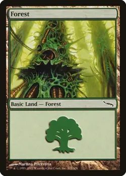 1x Forest (#305) NM Eng MTG - Mirrodin - Image 1