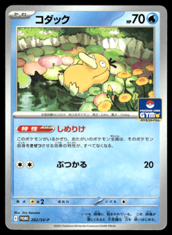 Psyduck 262/SV-P Gym Promo Pokemon Japanese NM-1 - Image 1