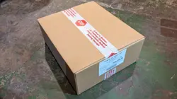 Pokemon TCG Mega Evolution ELITE TRAINER BOX (x10) SEALED CASE - Image 2