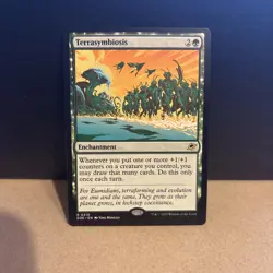 Magic the Gathering Terrasymbiosis Edge of Eternities Rare Enchantment Card 210 - Image 1