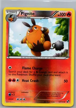 Pignite 17/114 Reverse Holo Black and White - Pokemon Card - NM - Image 1