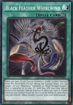 Yugioh - Black Feather Whirlwind - Common - MP23-EN195 - NM - English - Image 1
