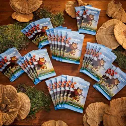 MTG Magic Bloomburrow - Play Booster Box 36 Busts Magic English Version New Seal - Image 4
