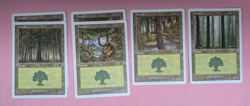 30 Vintage MTG Basic Lands (6ED) Near Mint/ Light Played - Image 3