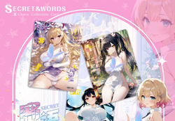 2BOX Secret Words Premium Booster Box Spicy Goddess Trading Card's Anime Waifu - Image 4