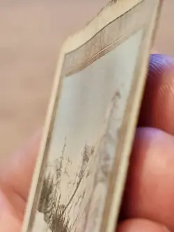 MTG Revised Taiga Dual Land Magic the Gathering Rare #4 - Image 4