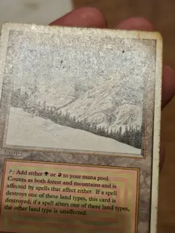 MTG Revised Taiga Dual Land Magic the Gathering Rare #2 - Image 3