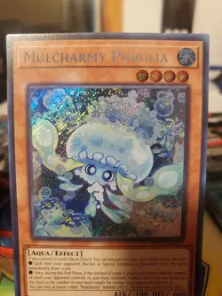 Mulcharmy Purulia INFO-EN027 1st Edition Yugioh Card Secret Rare - Image 4