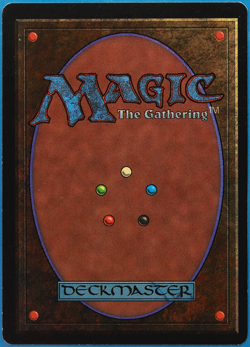 Holy Armor Beta NM White Common SIGNED MAGIC MTG CARD (ID# 504646) ABUGames - Image 2