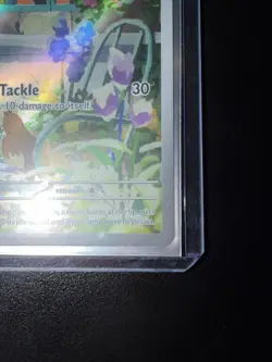 Pokemon TCG Charmander SVP 044 Obsidian Flames ETB Promo - Image 4