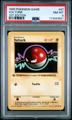 1999 POKEMON BASE SET 1ST EDITION #67 VOLTORB PSA 8 - Image 1