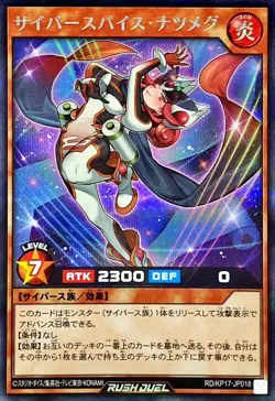 Yugioh Card RD/KP17-JP018 Cyber Spice Nutmeg | Secret Japanese [BLUE BACKGROUND] - Image 1