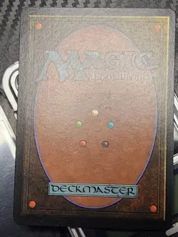 Mtg Scroll Rack Japanese 4 Items Inspected - Image 2