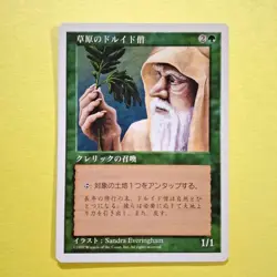 Mtg Steppe Druid Ley Japan Edition - Image 1