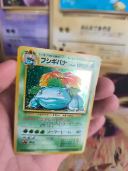 Pokemon Karte Card Bisaflor Venusaur Expansion Base Set Holo Wotc japanese NM+ - Image 4