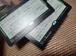 MTG Silkguard Japanese Extended Art FOIL NEC 1x Excellent Rare Instant - Image 3