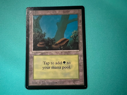 Forest - Beta - MTG - Magic the Gathering - Image 2