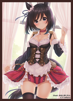 Umamusume: Pretty Derby Eishin Flash Doujin Card Sleeve Protector - Image 1