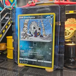 Poochyena Astral Radiance Reverse Holo Pokemon TCG 095/189 Sword & Shield Common - Image 2