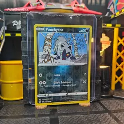 Poochyena Astral Radiance Reverse Holo Pokemon TCG 095/189 Sword & Shield Common - Image 3