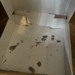 NYCC 2025 - MTG X TEENAGE MUTANT NINJA TURTLES PIZZA BOX WITH PROMO - Image 4