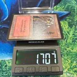 MTG Alpha Land Mountain Basic Land NM Rare Packaged - Image 5