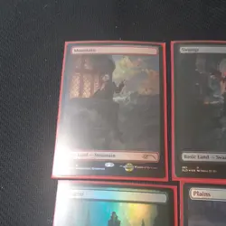 MTG - The Dracula Lands - Secret Lair Drop - FOIL - Open Set. - Image 2