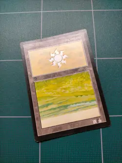 MTG Portal Simplified Chinese Alternate Art Mountain Forest Island Plains Swamp - Image 4