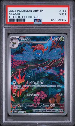 Pokemon TCG Gloom Sv03: Obsidian Flames Holo Illustration Rare Card PSA 9 - Image 1