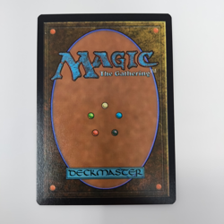 Windfall - The Lost Caverns of Ixalan Commander - LCC - MTG - Image 2