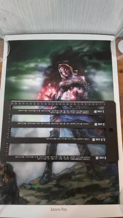 Liliana Vess Limited Edition Art Print No22 Signed MTG - Image 2