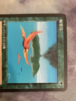 Birds of Paradise Japanese 4th Edition MTG Commander EDH Black Frame Used - Image 2