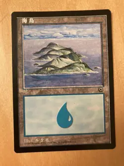 PO1 Portal Mandarin IC card Chinese MTG Simplified language used Used - Image 1