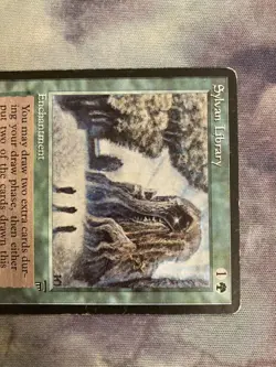 LEG Forest Wisdom English First Edition MTG Plaid Sylvan Library Card - Image 2