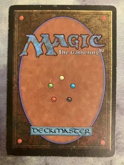 LEG Forest Wisdom English First Edition MTG Plaid Sylvan Library Card - Image 4