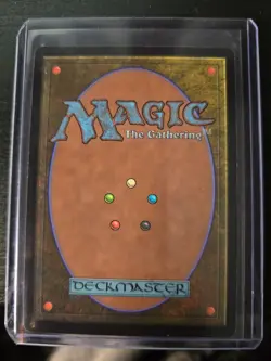 Elegant Parlor *** Borderless *** - MTG MKM Murders at Karlov Manor - NM/MINT - Image 2