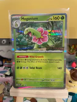 Meganium - Black Star Stamped Promo (001) - Mega Evolutions - Pokemon TCG - NM - Image 1