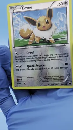 Eevee 89/116 Reverse Holo - Common - Pokemon Plasma Freeze - LP - See Video - Image 2