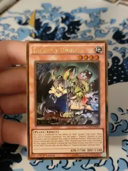 Yugioh Traptrix Dionaea PGL2-EN041 Gold Rare 1st Ed NM - Image 1