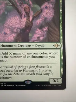 Sanctum Weaver The List Reprints Regular - Image 4