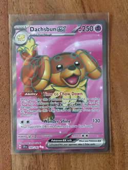 Pokemon TCG Dachsbun EX #160/142 Stellar Crown Ultra Rare NM Condition - Image 1